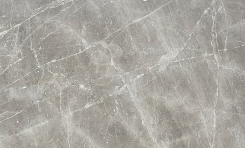 Dandellion Grey